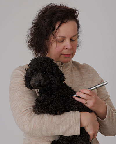 Laserakupunktur Behandlung Hund