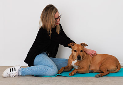 Massage und Physiotherapie für Tiere