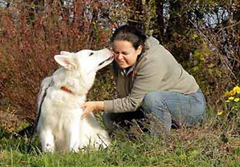 Erfreuter Vorzeigehund bei einem Workshop 