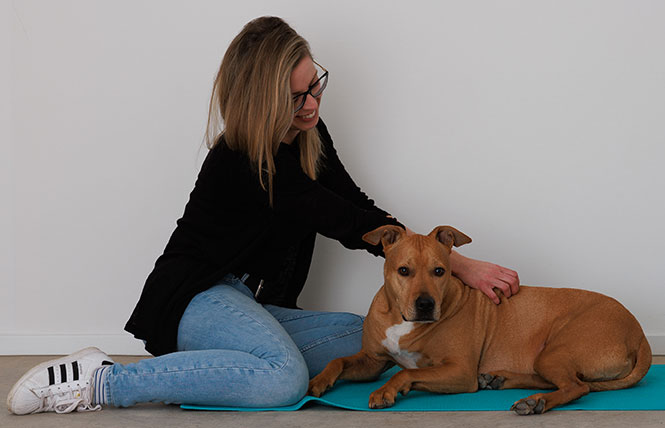 Tiermassage und Tier- Physiotherapie
